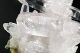 Double Termination Amethyst Crystal Cluster - Las Vigas, Mexico #355006-1